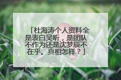 杜海涛个人资料全是表白吴昕，是团队不作为还是沈梦辰不在乎。真相怎样？