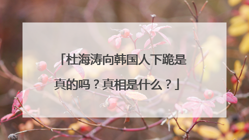 杜海涛向韩国人下跪是真的吗？真相是什么？