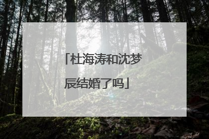 杜海涛和沈梦辰结婚了吗
