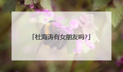 杜海涛有女朋友吗?