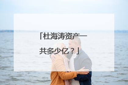 杜海涛资产一共多少亿？