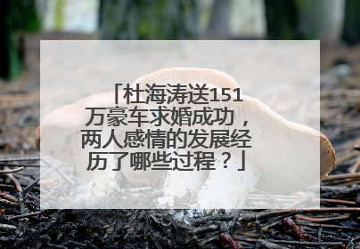 杜海涛送151万豪车求婚成功，两人感情的发展经历了哪些过程？
