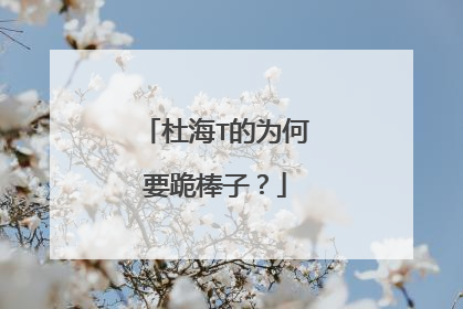 杜海T的为何要跪棒子?