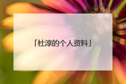 杜淳的个人资料