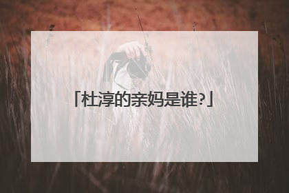 杜淳的亲妈是谁?