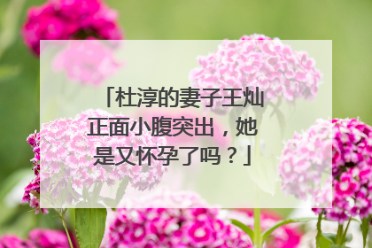 杜淳的妻子王灿正面小腹突出,她是又怀孕了吗?