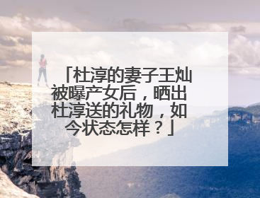 杜淳的妻子王灿被曝产女后,晒出杜淳送的礼物,如今状态怎样?