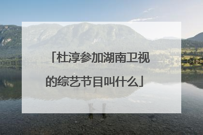 杜淳参加湖南卫视的综艺节目叫什么