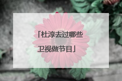 杜淳去过哪些卫视做节目