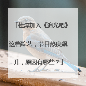 杜淳加入《追光吧》这档综艺，节目热度飙升，原因有哪些？