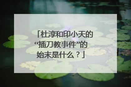 杜淳和印小天的“插刀教事件”的始末是什么?