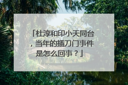 杜淳和印小天同台，当年的插刀门事件是怎么回事？