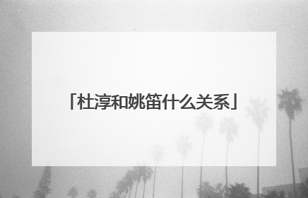 杜淳和姚笛什么关系