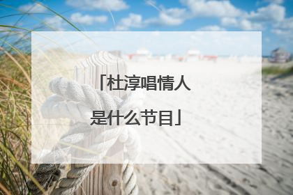 杜淳唱情人是什么节目