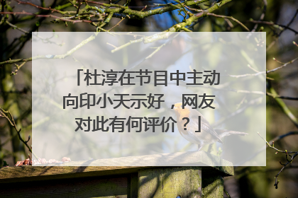杜淳在节目中主动向印小天示好,网友对此有何评价?
