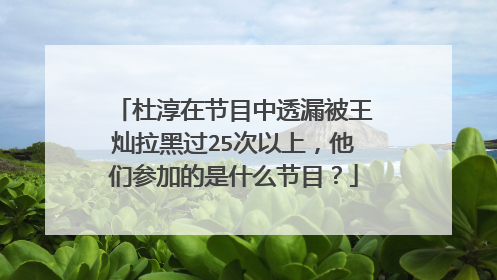 杜淳在节目中透漏被王灿拉黑过25次以上,他们参加的是什么节目?