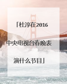 杜淳在2016中央电视台春晚表演什么节目