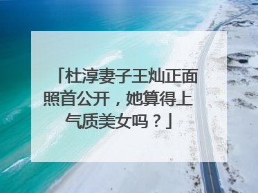 杜淳妻子王灿正面照首公开，她算得上气质美女吗？