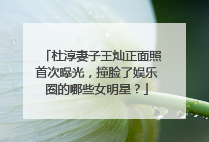 杜淳妻子王灿正面照首次曝光，撞脸了娱乐圈的哪些女明星？