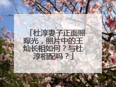 杜淳妻子正面照曝光,照片中的王灿长相如何?与杜淳相配吗?