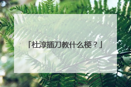 杜淳插刀教什么梗？