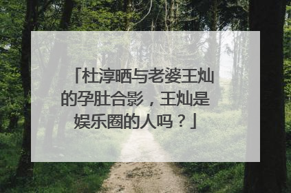 杜淳晒与老婆王灿的孕肚合影，王灿是娱乐圈的人吗？