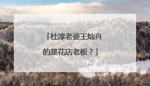 杜淳老婆王灿真的是花店老板？