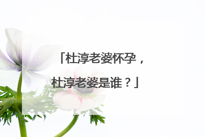 杜淳老婆怀孕，杜淳老婆是谁？