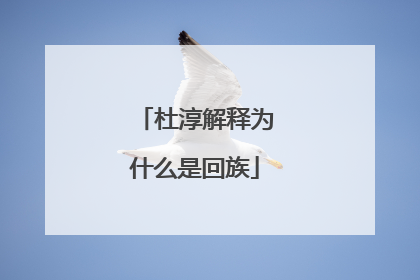 杜淳解释为什么是回族