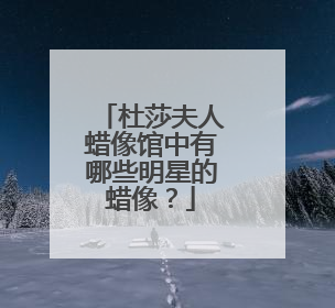 杜莎夫人蜡像馆中有哪些明星的蜡像？