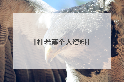 杜若溪个人资料