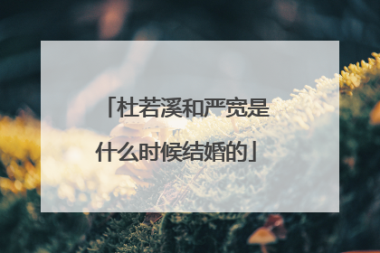 杜若溪和严宽是什么时候结婚的