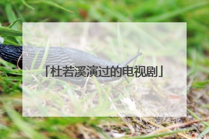 杜若溪演过的电视剧