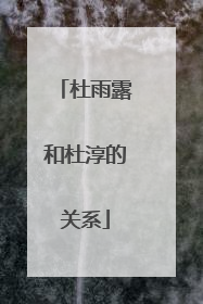 杜雨露和杜淳的关系