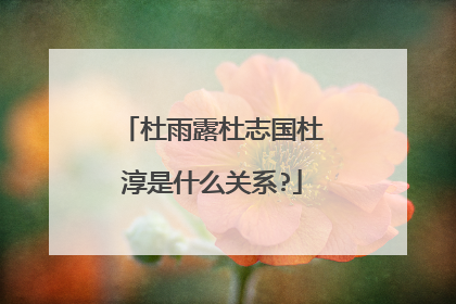杜雨露杜志国杜淳是什么关系?