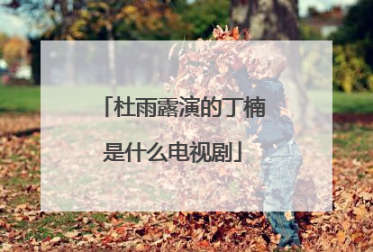 杜雨露演的丁楠是什么电视剧