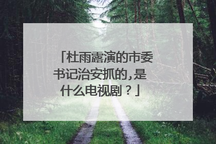 杜雨露演的市委书记治安抓的,是什么电视剧?