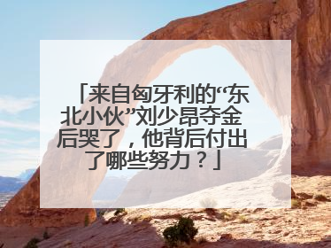 来自匈牙利的“东北小伙”刘少昂夺金后哭了，他背后付出了哪些努力？