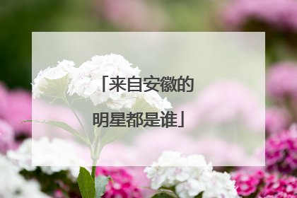 来自安徽的明星都是谁