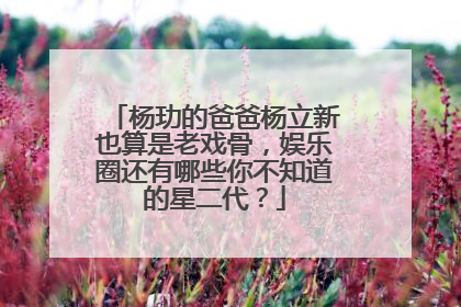 杨玏的爸爸杨立新也算是老戏骨，娱乐圈还有哪些你不知道的星二代？