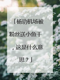 杨玏机场被粉丝送小鱼干,这是什么意思?