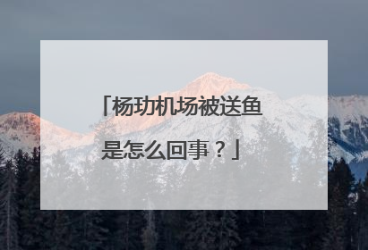 杨玏机场被送鱼是怎么回事?