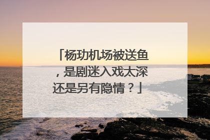 杨玏机场被送鱼,是剧迷入戏太深还是另有隐情?