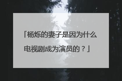 杨烁的妻子是因为什么电视剧成为演员的？