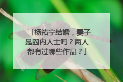 杨祐宁结婚，妻子是圈内人士吗？两人都有过哪些作品？