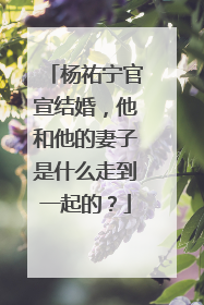 杨祐宁官宣结婚，他和他的妻子是什么走到一起的？