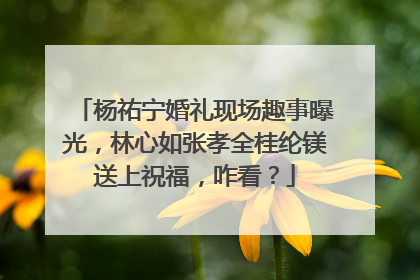 杨祐宁婚礼现场趣事曝光,林心如张孝全桂纶镁送上祝福,咋看?