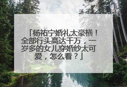 杨祐宁婚礼太豪横!全部行头高达千万,一岁多的女儿穿婚纱太可爱,怎么看?
