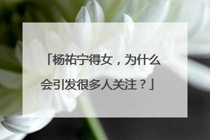 杨祐宁得女,为什么会引发很多人关注?