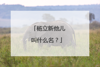 杨立新他儿叫什么名？